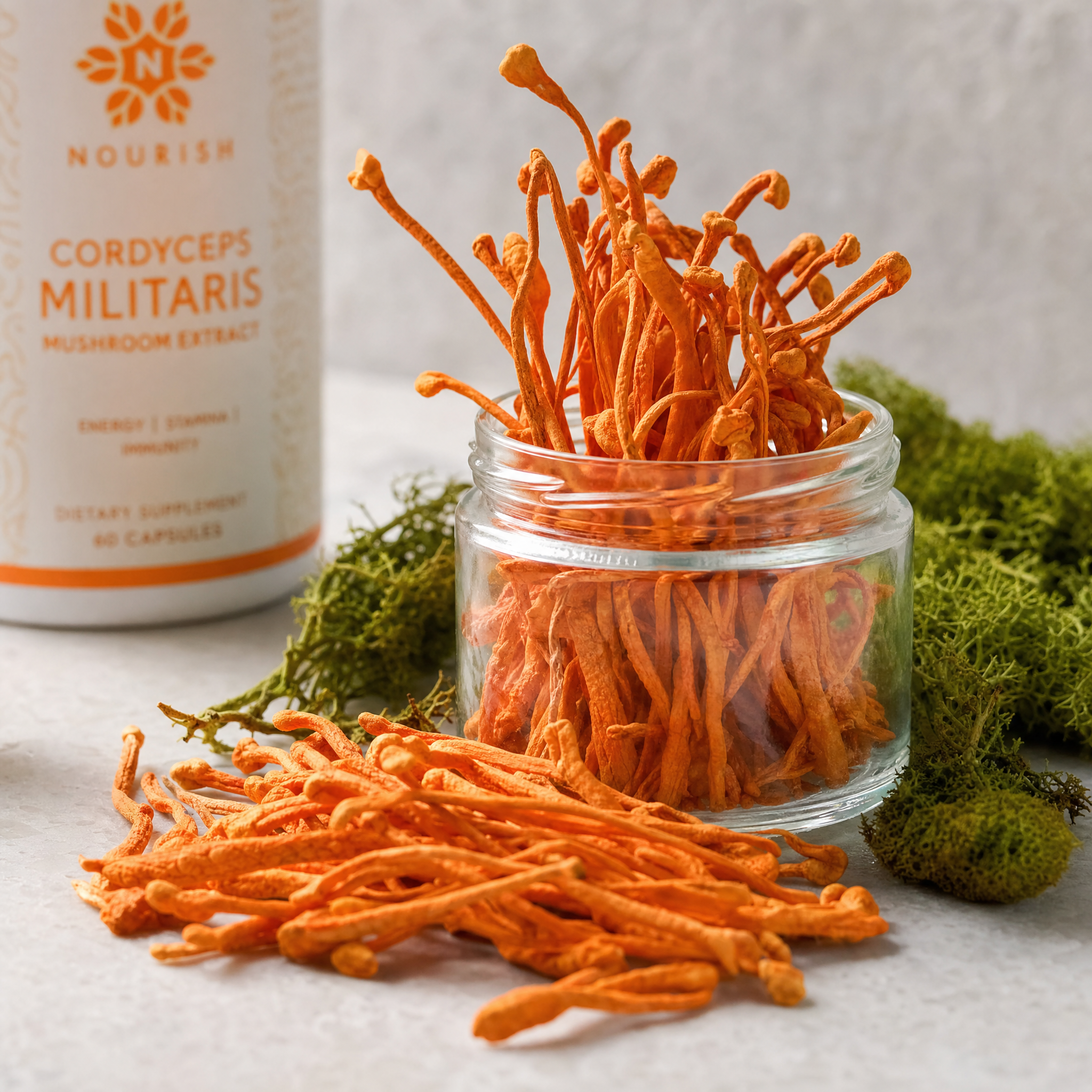 Cordyceps