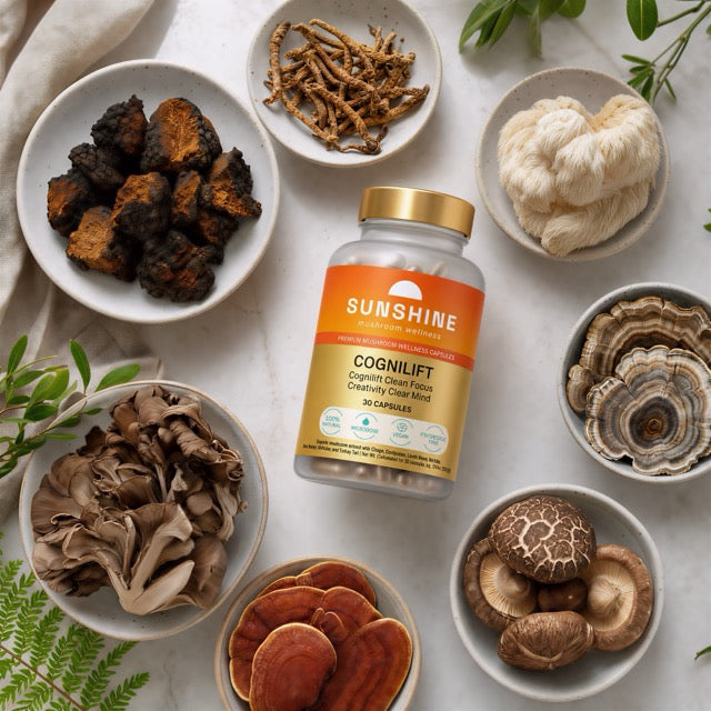 The 7 functional mushrooms in Sunshine, and what each one does