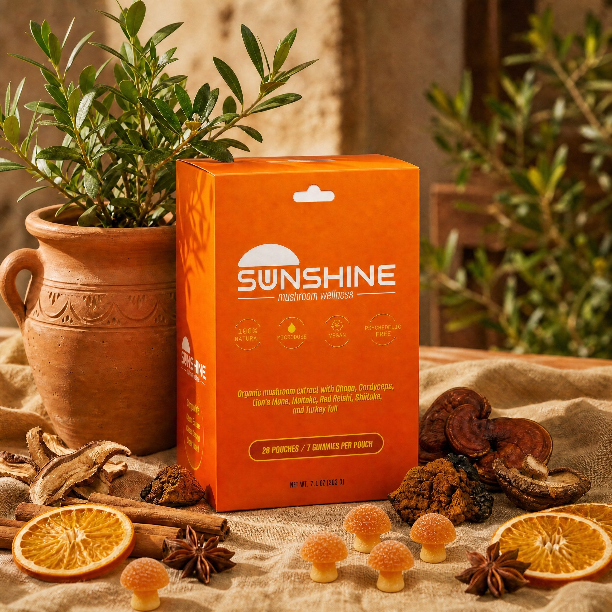Sunshine, trusted daily